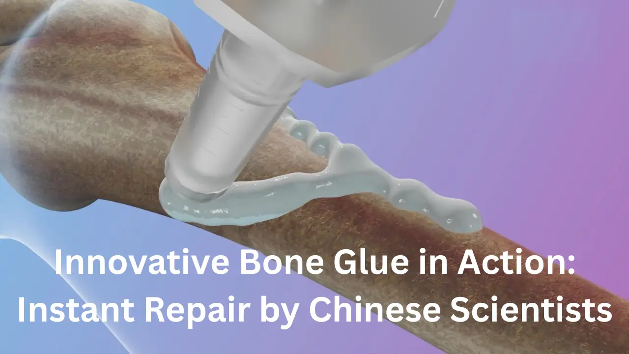 Innovative Bone Glue in Action Instant Repair by Chinese Scientists