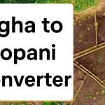 bigha to ropani