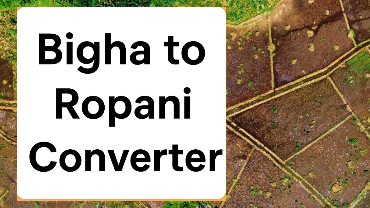bigha to ropani