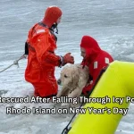 Dog Rescued After Falling Through Icy Pond in Rhode Island on New Years Day